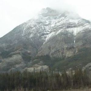 Meet your Posher, Ivy